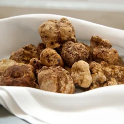 Fresh white truffles for sale USA