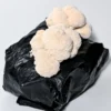 Grow Your Own Lion's Mane Mushrooms at Home