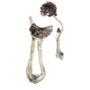 Buy Albino A+ Magic Mushrooms Online USA