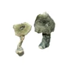 Buy Albino Cambodians Magic Mushrooms Online