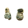 Buy Albino Penis Envy Shrooms USA