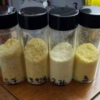 Buy MDMA Ecstasy Molly Online