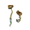 Buy Texas Yellow Cap Magic Mushrooms Online