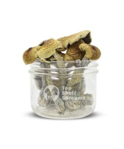 Buy B+ Magic Mushroom USA
