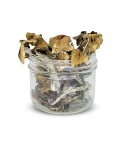 Buy Brazilian Magic Mushrooms Online USA