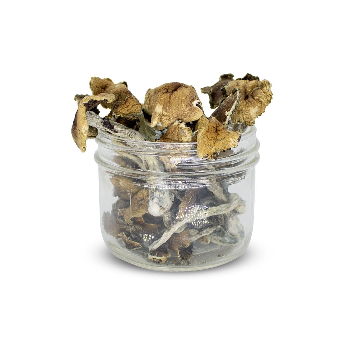 Buy Brazilian Magic Mushrooms Online USA Buy Brazilian Magic Mushrooms Online USA