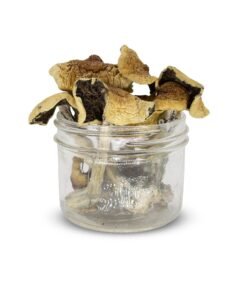 Buy Golden Teachers Magic Mushrooms Online