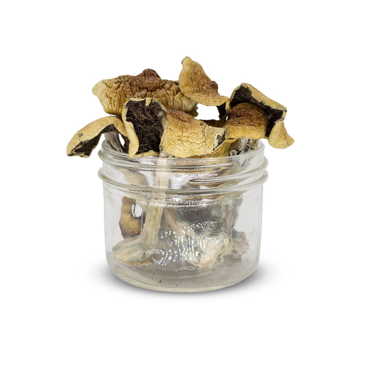 Buy Golden Teachers Magic Mushrooms Online Buy Golden Teachers Magic Mushrooms Online