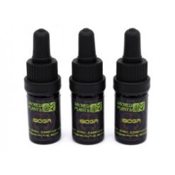Buy Ibogaine Tincture online