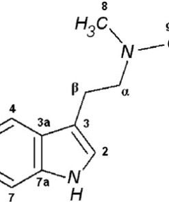 Buy DMT Online